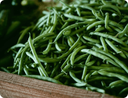 florida specialties - green beans
