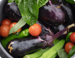 ledesma farms - eggplant, tomatoes