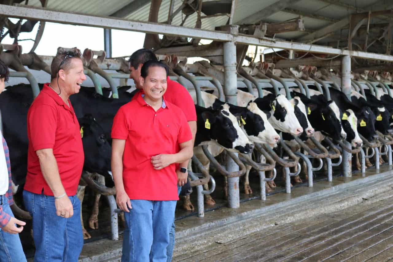Dakin Dairy- ethical dairy farming